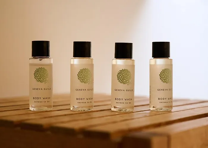 Vert Hotel Chamonix 2*