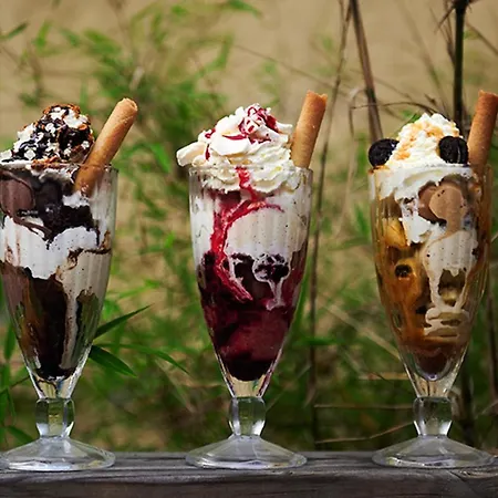 Vert Lodge Chamonix Ξενοδοχείο