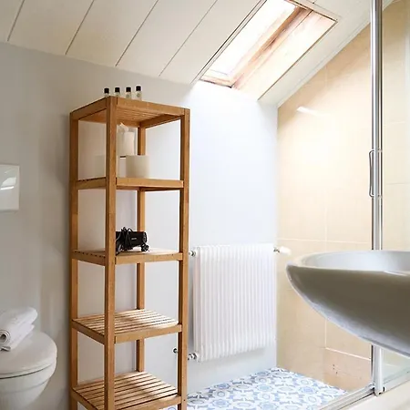 מלון Vert Lodge Chamonix 2*