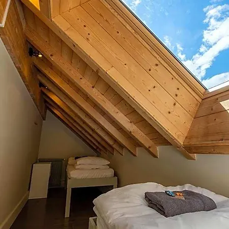 Vert Lodge Chamonix מלון שאמוני
